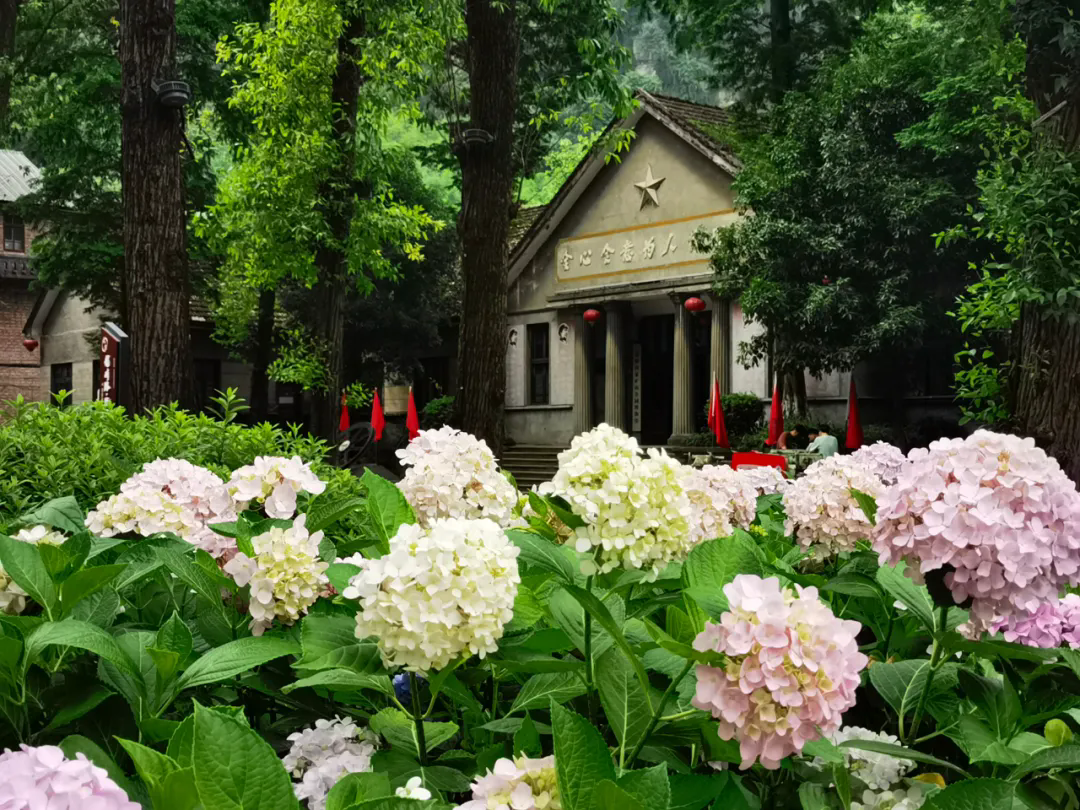 640.webp (4).png
