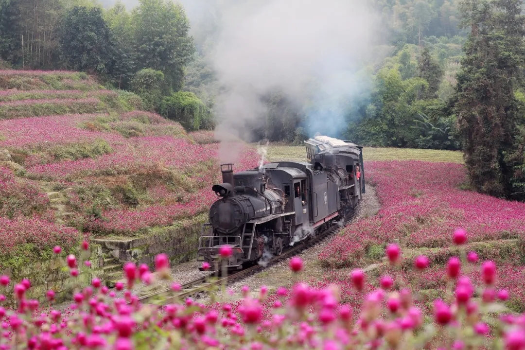 12444259c3a93a59f2dedfadf611629a.jpg 12444259c3a93a59f2dedfadf611629a.jpg