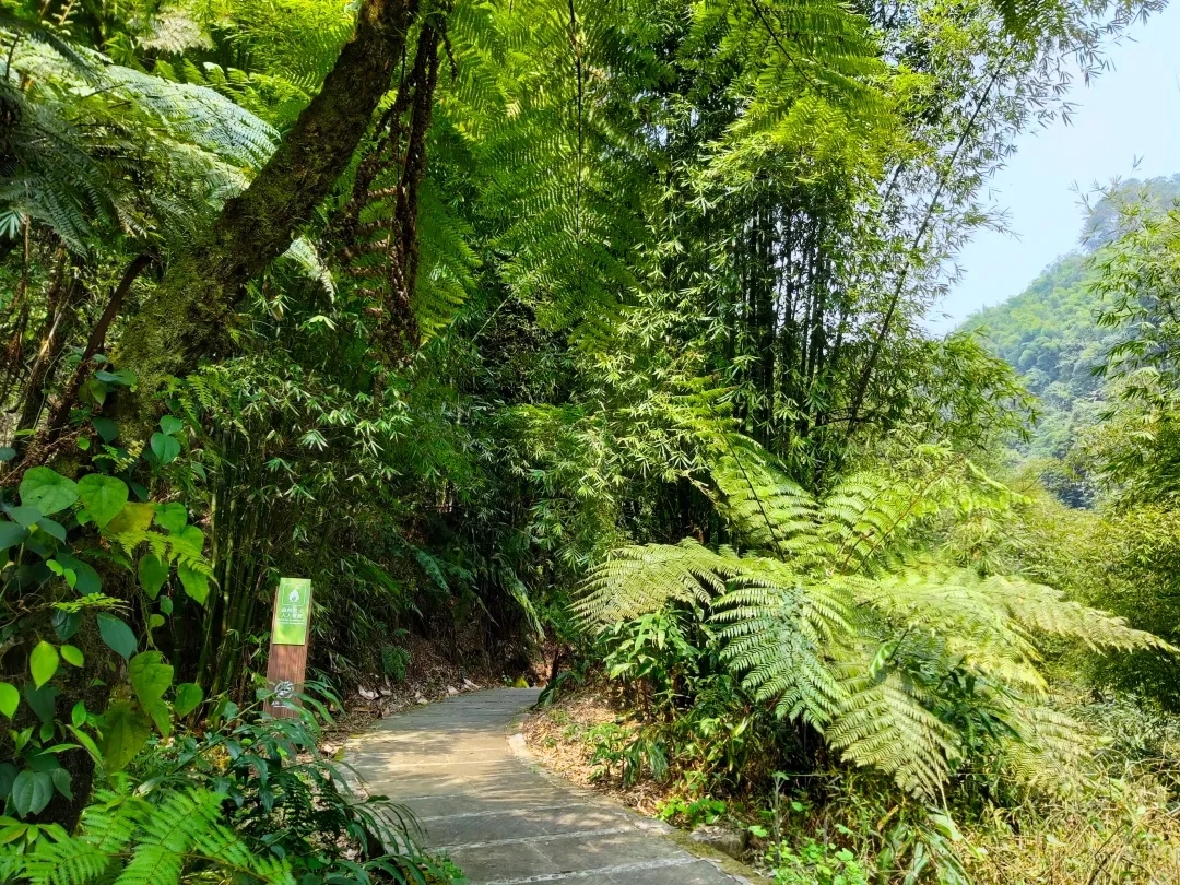 640.webp (14).jpg 640.webp (14).jpg