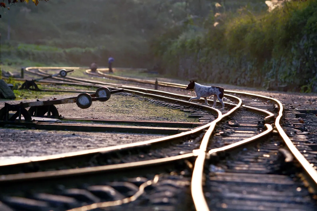 640.webp (5).jpg 640.webp (5).jpg