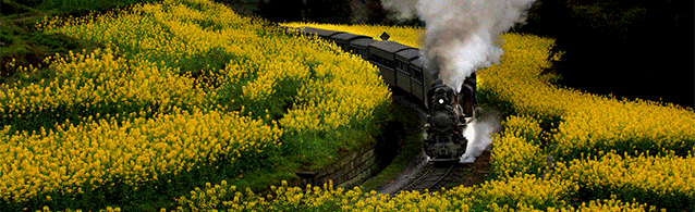 小火车.gif 小火车.gif