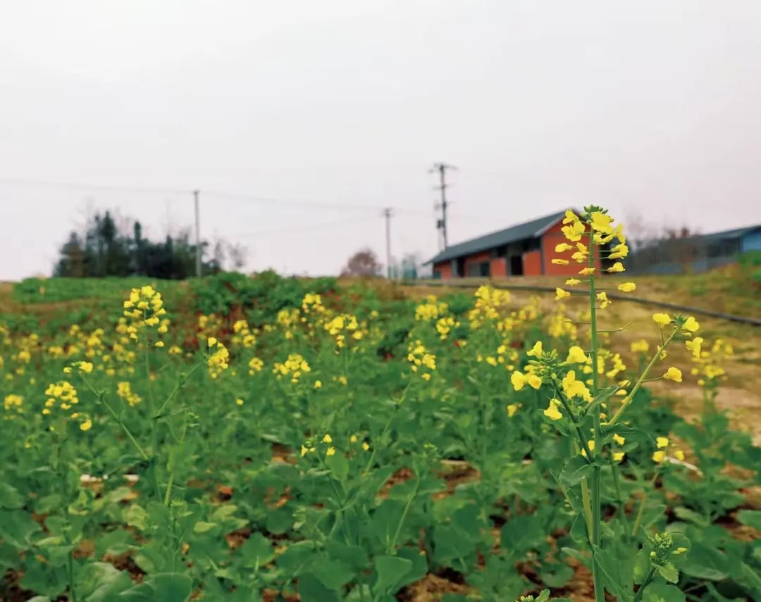 8541d80b64e1003f64200d86d0ef16e6.jpg 8541d80b64e1003f64200d86d0ef16e6.jpg